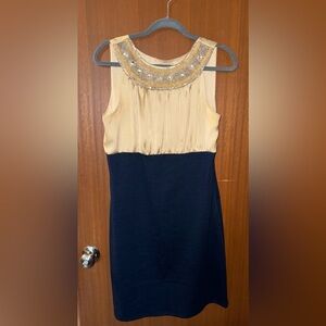 Elegant Two-Tone Sleeveless Dress